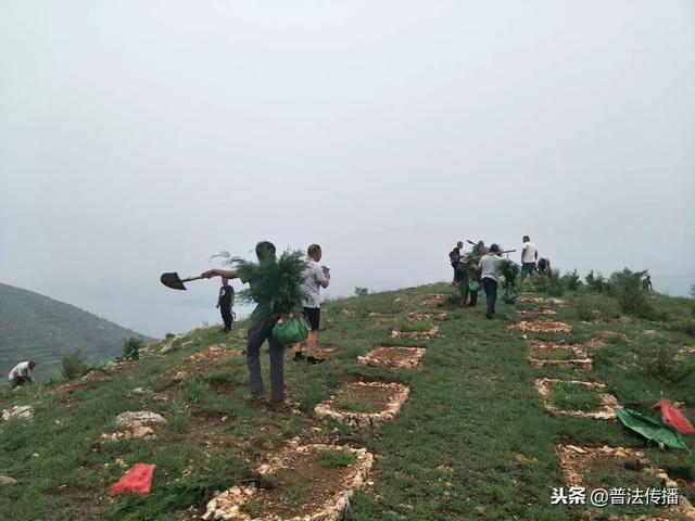 生態扶貧譜新篇——記活躍在唐堯大地上的脫貧攻堅造林專業隊