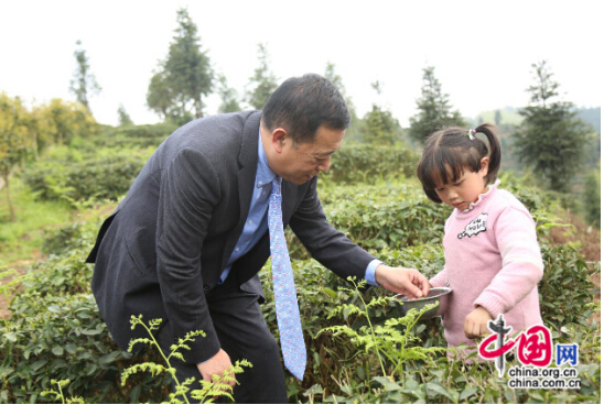 “文明中華生態茶葉基地”落戶安順